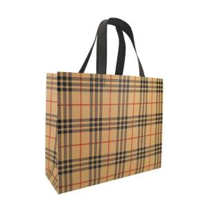 Quality Eco Friendly Non Woven Shopping Bags 60gsm Polypropylene Laminated wholesale
