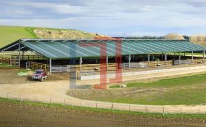 Quality Lanjing Prefabricated Steel Structure Farm House , Modern Metal Livestock Shelters wholesale