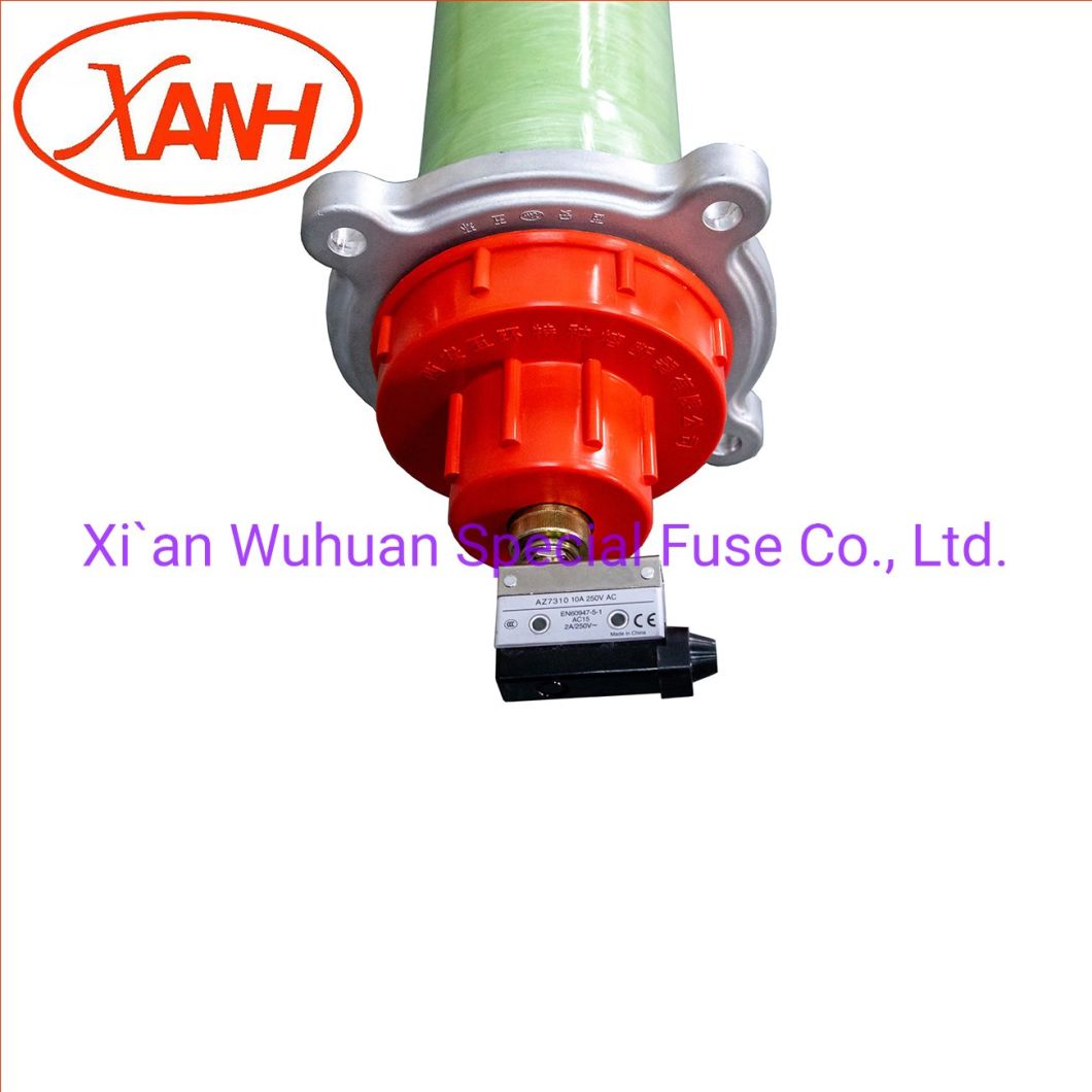Xrnt3-15.5q High Voltage Current Limiting Fuse for Transformer Protection (Germany DIN Standard)