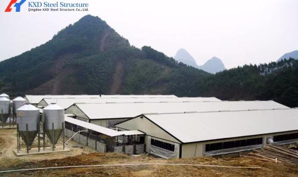 Prefabricated Light Weight Steel Structure Chicken House Shed ISO9001 CE