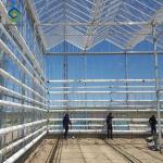 Fruits 0.4KN/M2 4m Height Commercial Glass Greenhouse