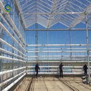 Quality Fruits 0.4KN/M2 4m Height Commercial Glass Greenhouse wholesale