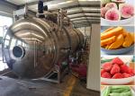 Fruits Vegetables Industrial Freeze Machine 100kg/Batch