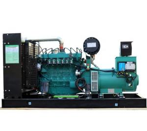 Quality Energy-saving 300KW Natural Gas Generator Set for Russian Market wholesale
