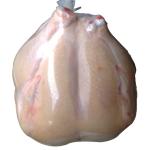 Turkey bag Food grade meat vacuum bag customization wholesale