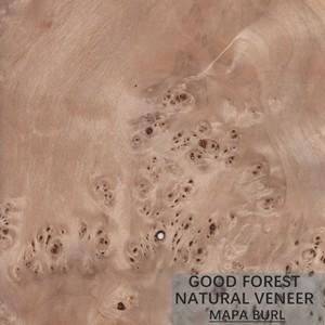 Quality Tree Burl Wood Veneer Natural White Poplar Veneer Sheets Excellent wholesale