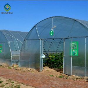 Quality 0.5KN/M2 Clear Polythene 4m Single Tunnel Greenhouse wholesale