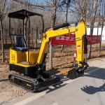 Bucket Arm Cylinder Excavator SGS Hydraulic Mini Digger Machine