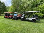 Lithium Electric Golf Carts Customized Manufacture Off Road Street Legal