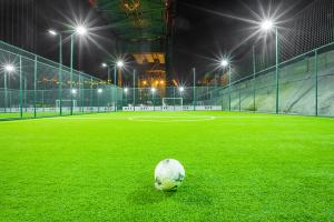 Quality PVC Eco Friendly 25mm Artificial Lawn Grass High Carbon PE wholesale
