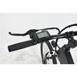 0.25KW Full Suspension Folding Electric Bike , Electric Mountain Bike For Adults