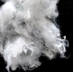 100% Bosilun fiber Hollow Conjugated Polyester Staple Fiber