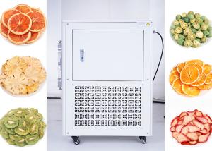 Quality Stainless Steel Automatic Defrost Lab Freeze Dryer Air Cooled With -50.C Condenser Temperature wholesale