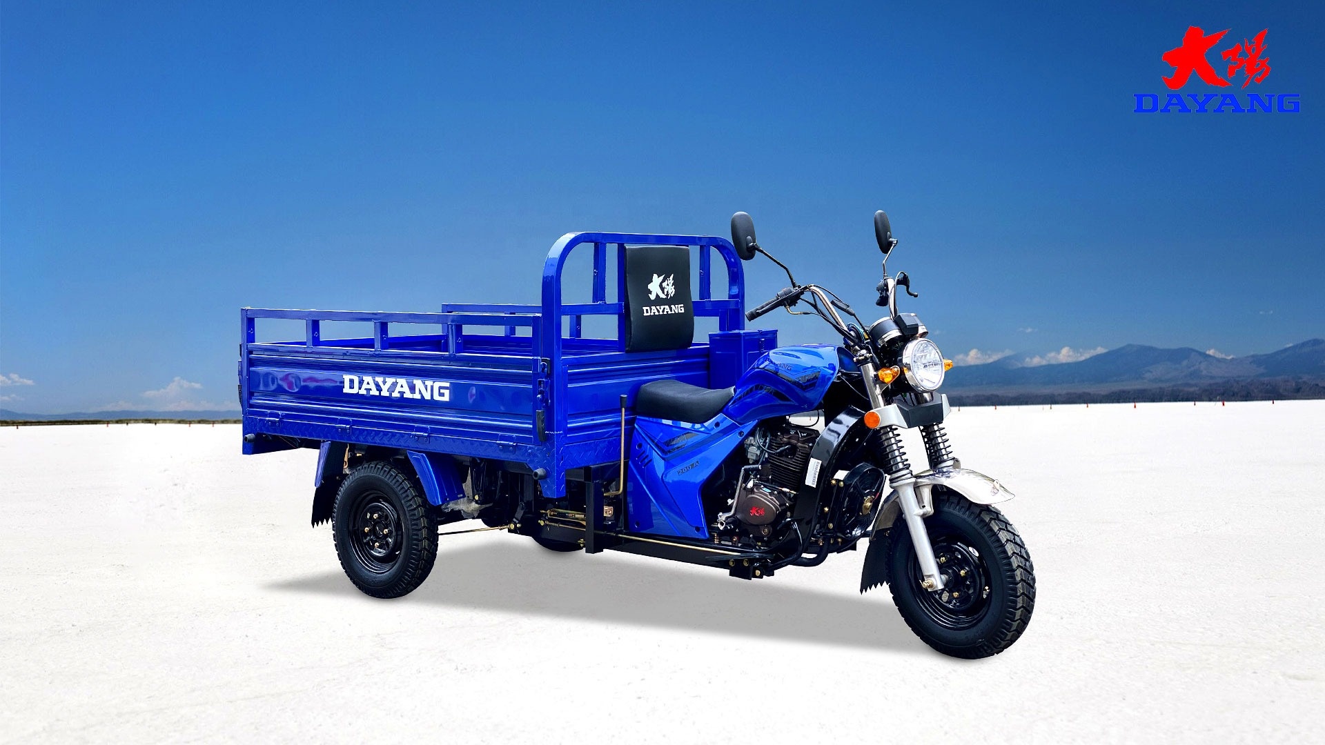 Maximum Speed of ≥70Km/h Gas Powered Cargo Tricycle with Front Disc Rear Drum Brake