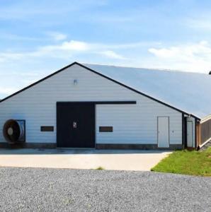 Quality Safety Steel Structure Chicken House Lightweight Steel Frame Building wholesale