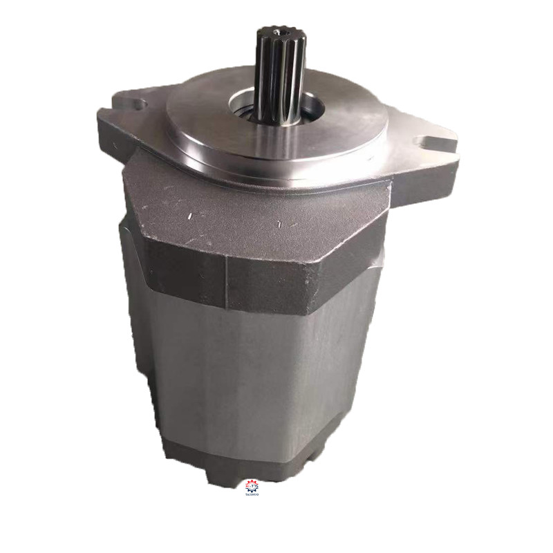 TSP-8D215 Gear Pump 803076108 1142001001 Spare Parts For Loader