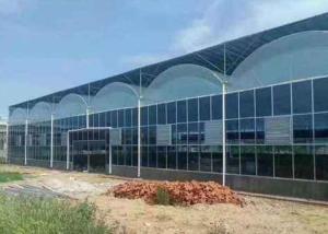 Quality Intelligent Agricultural Greenhouse Steel Frame For Vegetables Garden Tomato wholesale