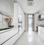 European Style Kitchen Cabinet Latest Perfect Workmanship Lacquer Surface