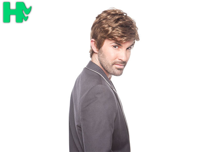 Handsome FashionMen MaleShort Synthetic Hair Wigs No Tangle No Shed 10 Inches