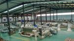 ZHUOHENG 's Energy-saving Industrial Macaroni Making Machine for Pasta