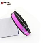 Polyester Adjustable Led Light- Up Pet Leash , Led Dog Light Collar