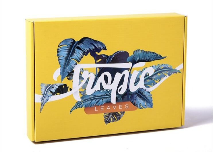 Custom Printed Stamping Die Cut Cardboard Color printing Corrugated Boxes