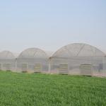 6 Foot 8 Foot Double Roof Arch Muliti Span Film Greenhouse Keep Warm For