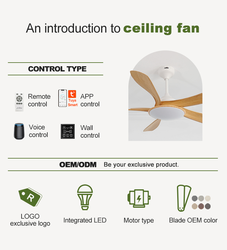 Modern Design 5 ABS Blades LED Ceiling Fan with Silent Motor and ROHS Certification