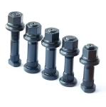 Truck Rear Wheel Bolt Nut M20X1.50 10.9 12.9 Grade 3104051 WG9112340123