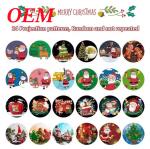 Plastic Projector Flashlight Children's Educational Toys For Christmas Baby