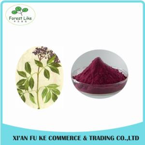 Quality 100% Natural Elderberry Extract Powder 10:1 20:1 wholesale