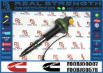Original QSK19 QSK60 Fuel Injector F00BL0J019 2867149 4964173 4955527 4964170