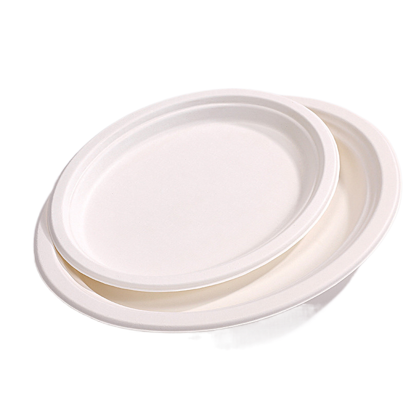 Custom Printed Compostable Smoothie Cups Sugarcane Bagasse Plate 20 Oz