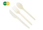 Biodegradable Plastic PSM Disposable Cutlery for Fast Food Takeaway