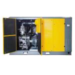200kw 20bar Industrial Rotary High Pressure Screw Air Compressor