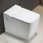 Modern High Efficiency Toilet Tankless Wall Hung for Bathroom