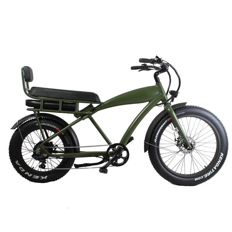 DOMANCA 2024 Vintage Off-road E Bike with Max Speed of 30-50Km/h and Range of 31-60 km