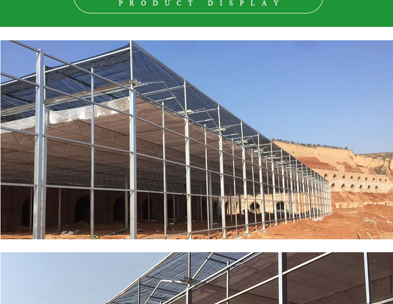 Large Glass Covered Garden Greenhouses for Versatile Planting Options