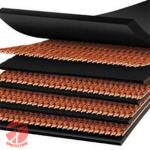 Customized Mining NN/EP Multi Ply Textile Flame Resistant Conveyor Belt