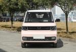 Pure Electric Car Adult Made In China 1940mm Wheelbase Modified Cars With 4
