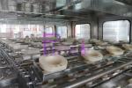 PLC Control Liquid Filling Machines With Stainless Steel Gallon Holder