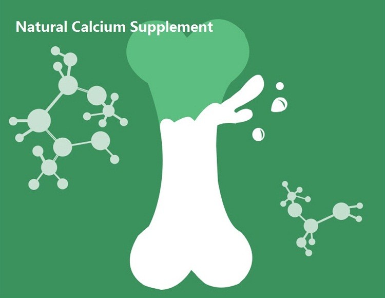 Fresh Sugar Free High Calcium 800g Elderly Milk Powder