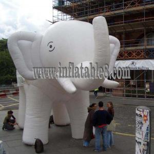 China Advertising Inflatable Model with elephant animal model on sale