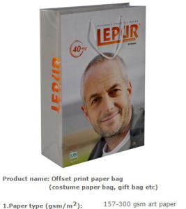 Quality eco friendly tyvek paper shopping bag, smart shopping paper bag/die cut handle paper bag, Shopping Paper Bag, Biodegrad wholesale