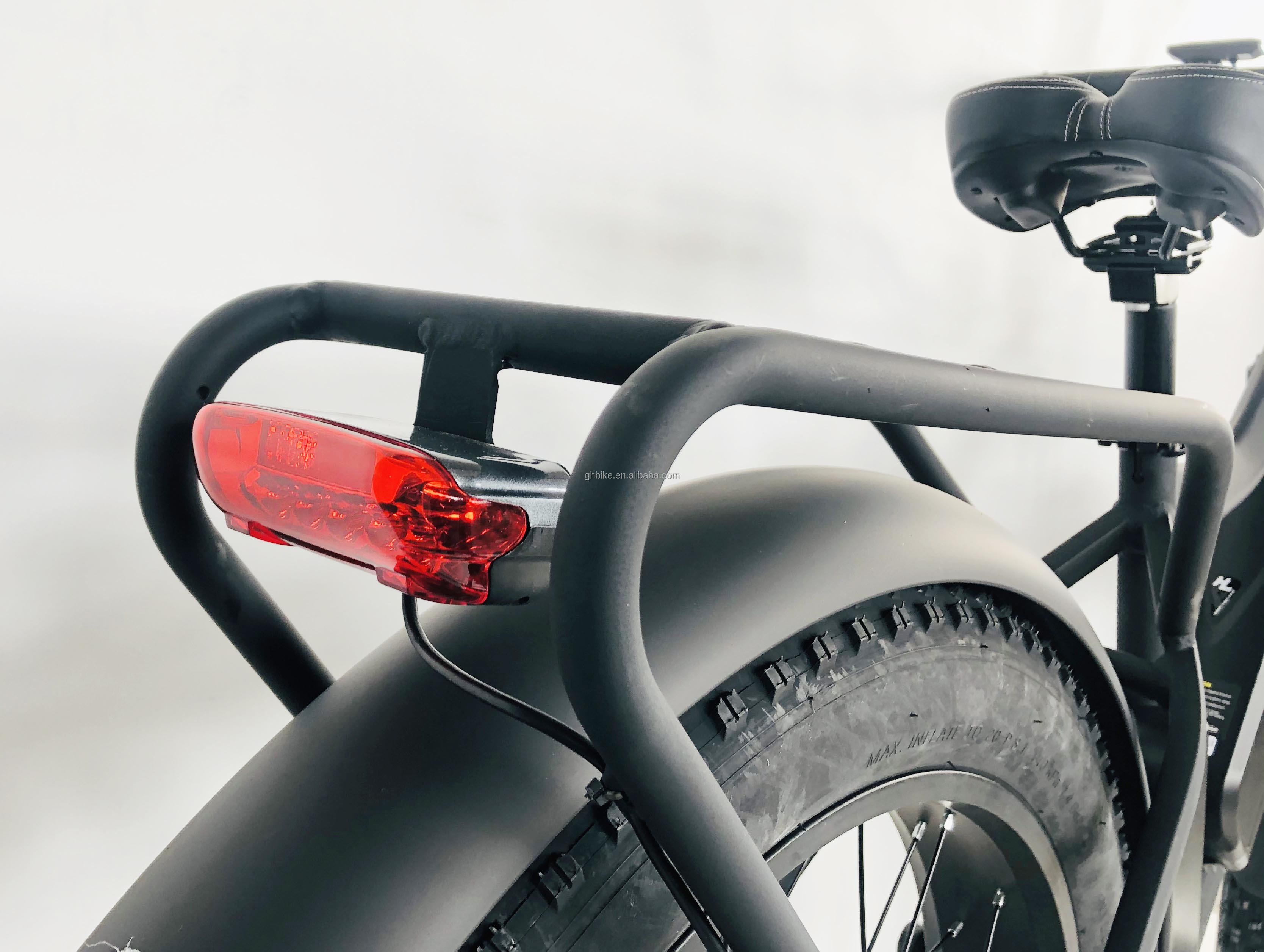 48V 1000W 17AH 50KM/H USA OEM Customized Fat Tire Electric Mountain Bicycle for Cargo