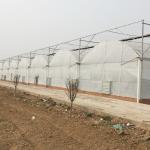 Indoor or Greenhouse Planting Made Easy with Food Grade PVC Hydroponic Growing