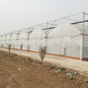 Quality Indoor or Greenhouse Planting Made Easy with Food Grade PVC Hydroponic Growing System wholesale