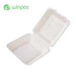 Custom Logo Sugarcane Bagasse Clamshell 9 Inches Hamburger Takeaway Salad Bowls