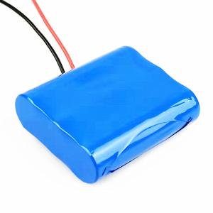 Quality 26.4Wh 2200mAh Small 12 Volt Lithium Battery wholesale