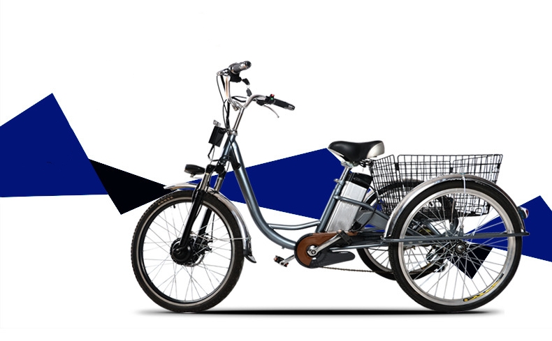 Adult 3 Wheel Electric Tricycle 48V 250W Motor Three Wheel Electric Cargo Bike